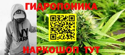 дмт Нягань