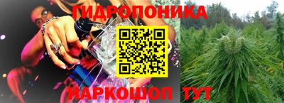 амф Обь