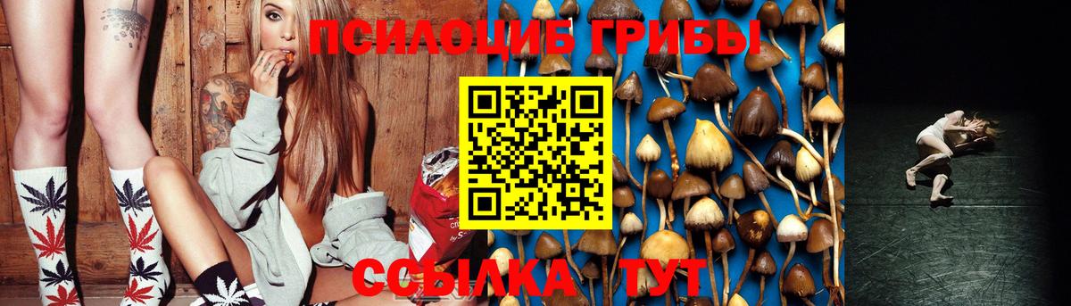 Галлюциногенные грибы Psilocybine cubensis Полевской